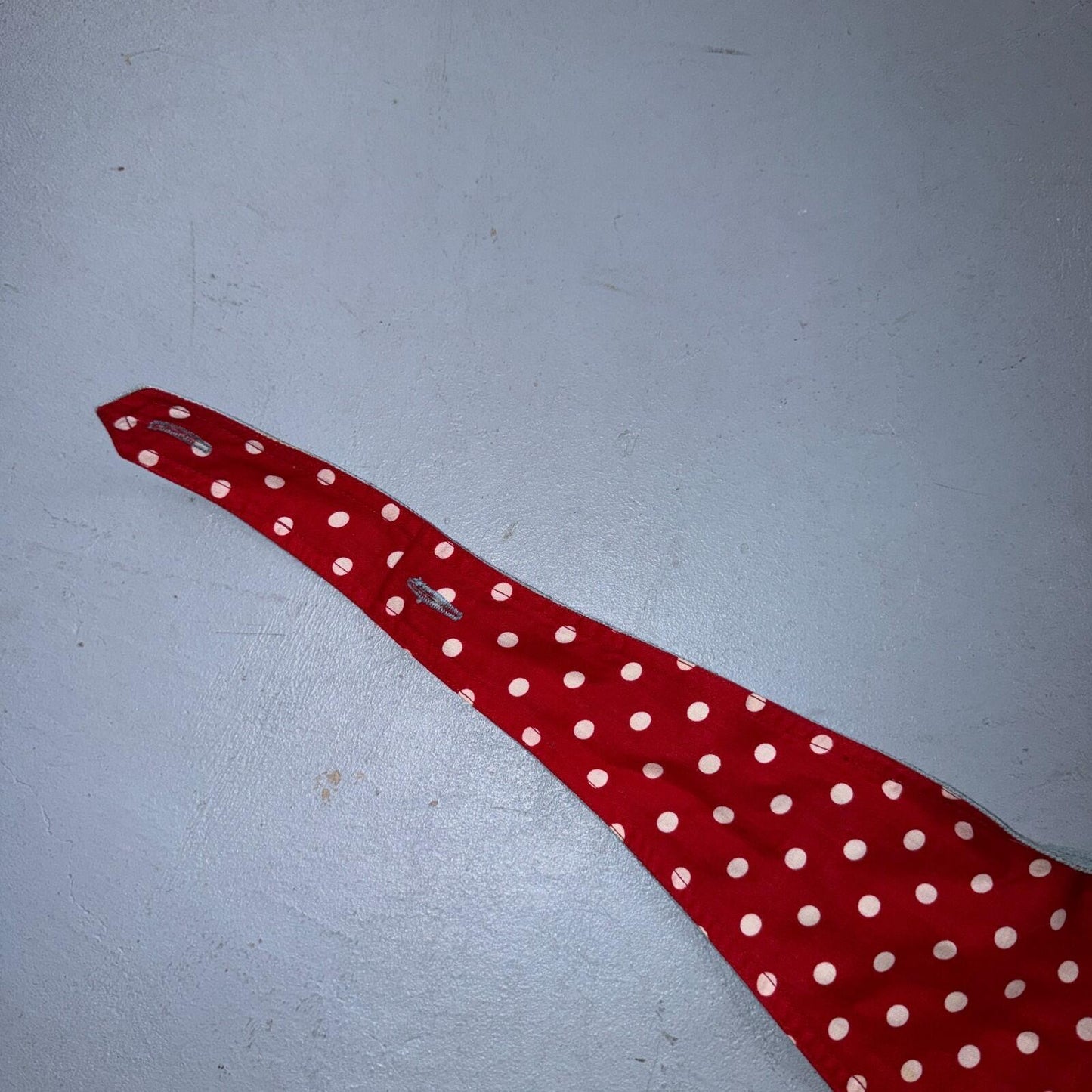 VTG 1950s 50s Women’s Swimsuit Bathing Suit Bra Swim Suit Poka Dot Reversible?