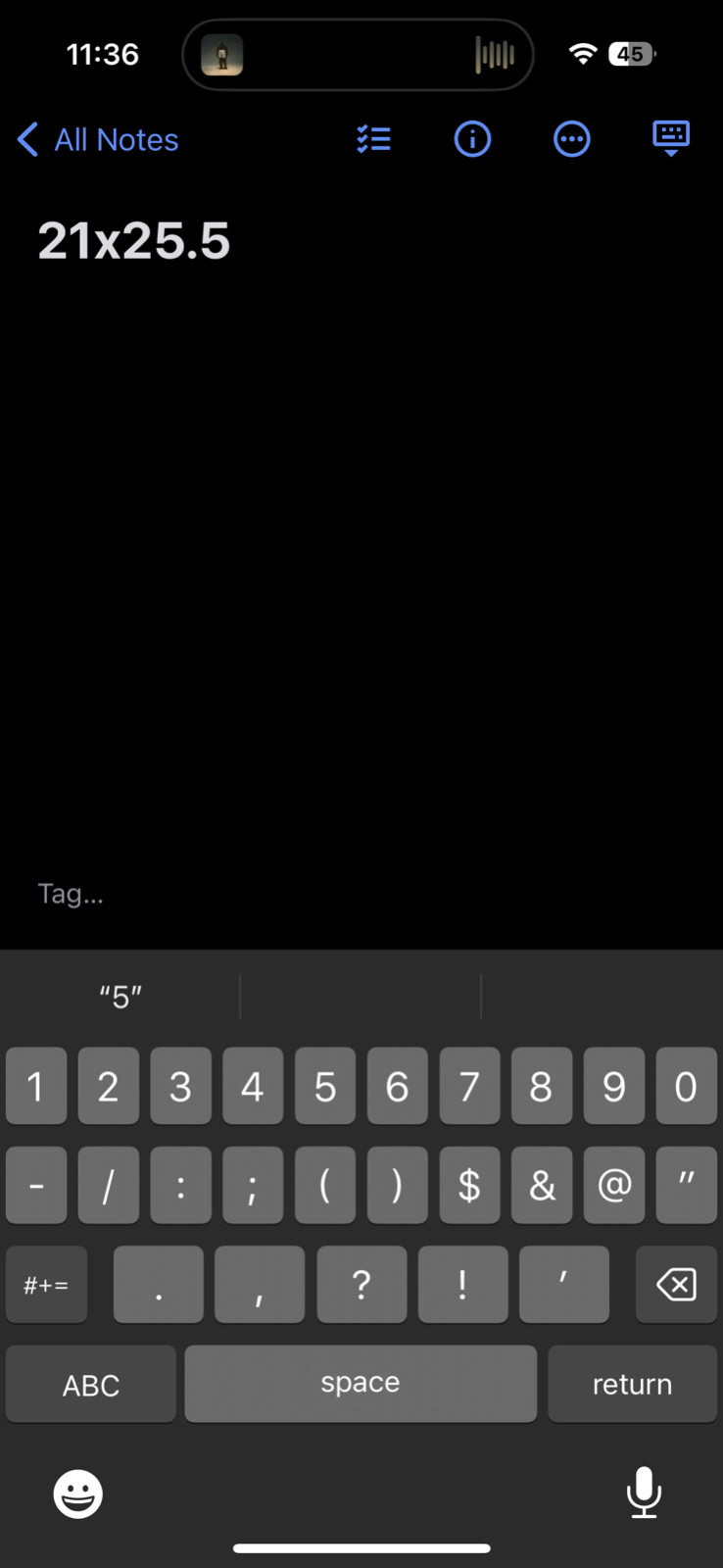 Rouge River Run V Neck Gray VTG T Shirt 80s Single Stitch Cars Graphic Rare Cool