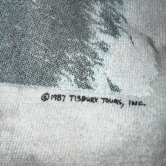 James Taylor Never Die Young VTG T Shirt 80s Hanes XL Howling Wolf RARE Concert