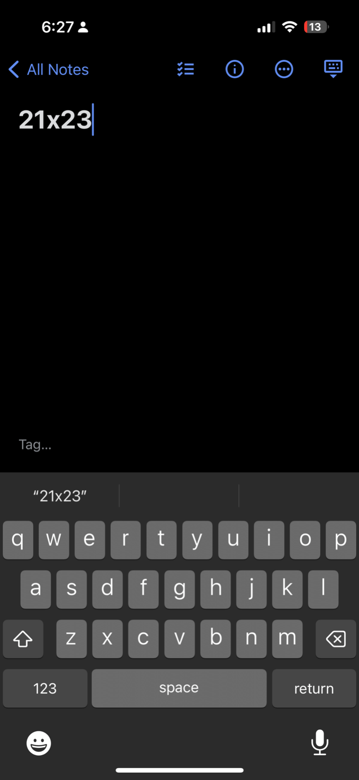 VTG 90s World Class Ski L Pullover Sweatshirt Crewneck Squirrel Mountain 80s