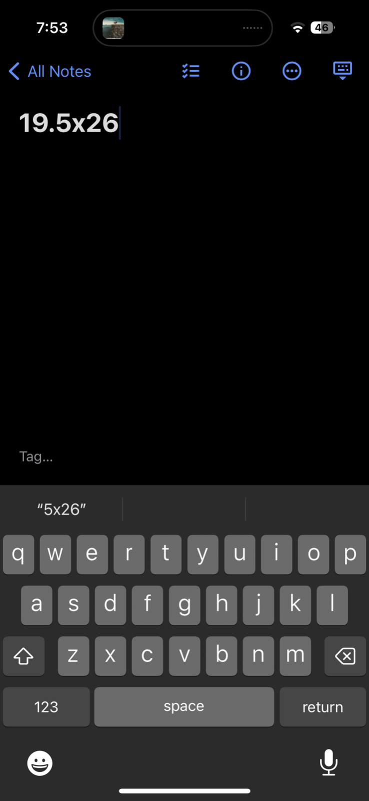 Freeport Grand Bahama Parrot VTG T Shirt Animals Bird Palm Tree Summer Cool