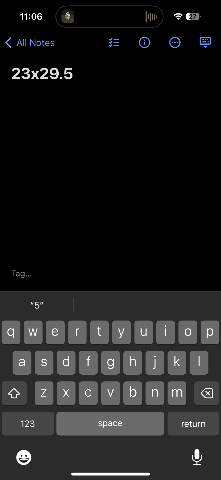 Wright State University XL VTG T Shirt WSU College School USA Gray Graphic Tee