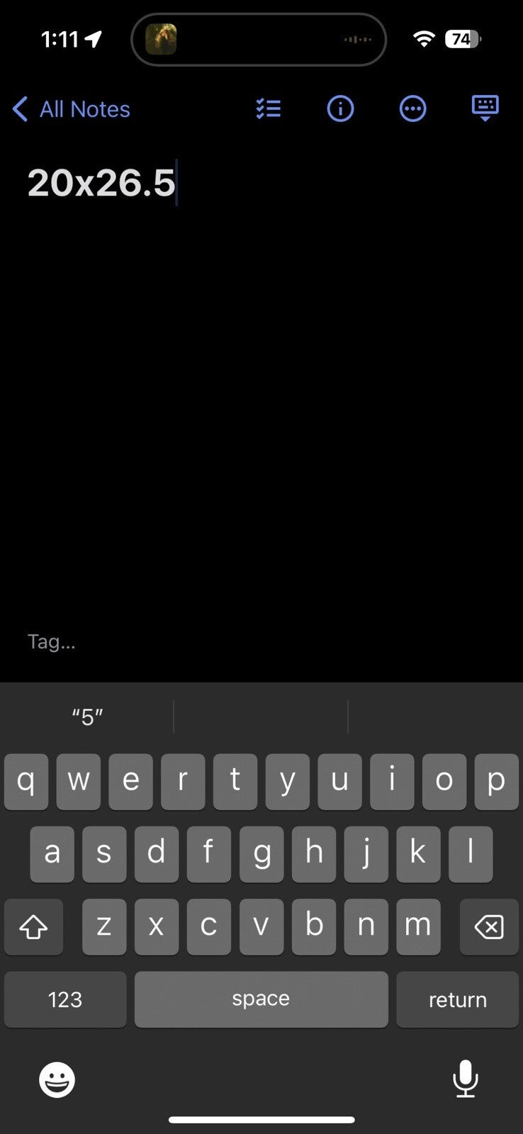 Red Hot Chili Peppers Vintage T Shirt Purple Y2K Tucson Arizona Rare Embroidered