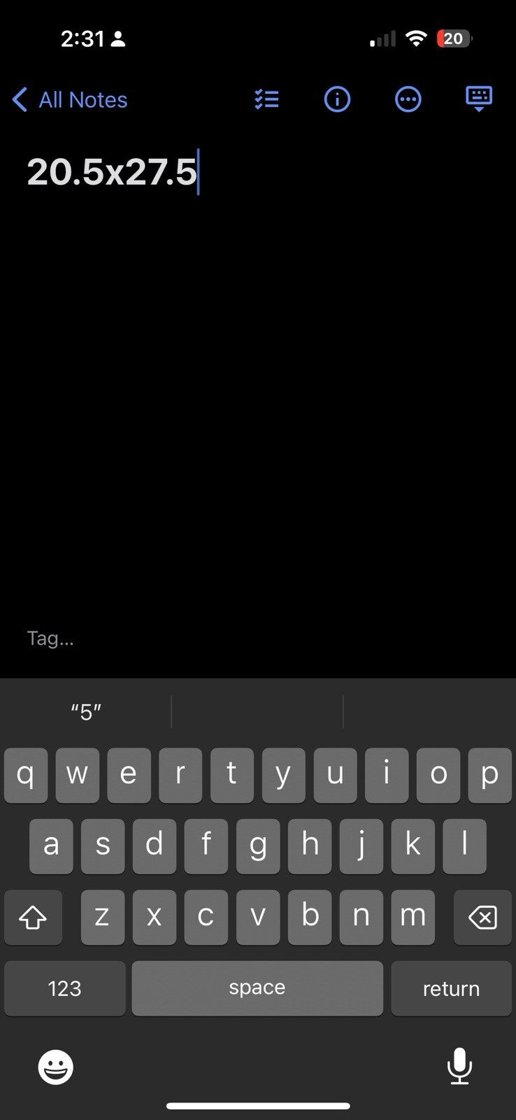 OSU Oregon State USA 70s 1970 VTG T Shirt USA Beavers RARE Single Stitch XL