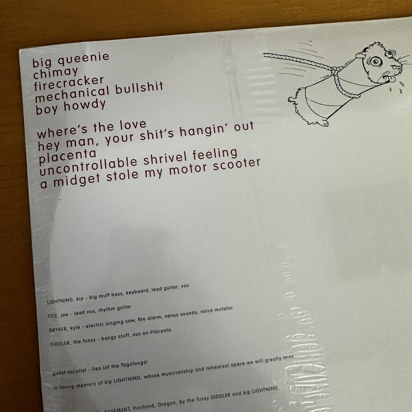 SEALED molly BANG – gerbil tube lariat LP Portland Oregon Lo Fi u2 rem VINYL