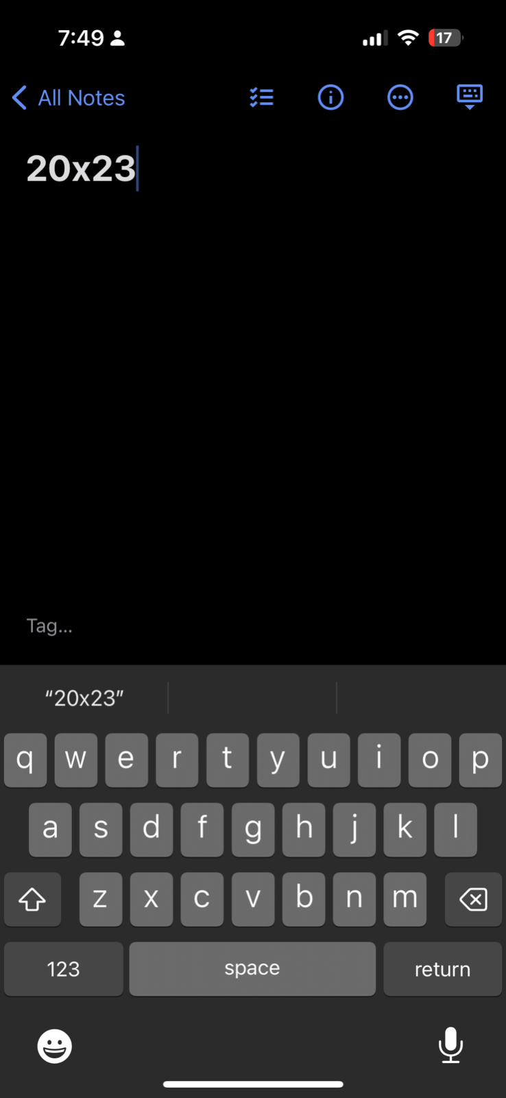 Ski Train 1990 VTG T Shirt 90s Single Stitch Alaska Grandview Long Sleeve Sports