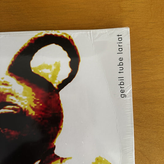 SEALED molly BANG – gerbil tube lariat LP Portland Oregon Lo Fi u2 rem VINYL