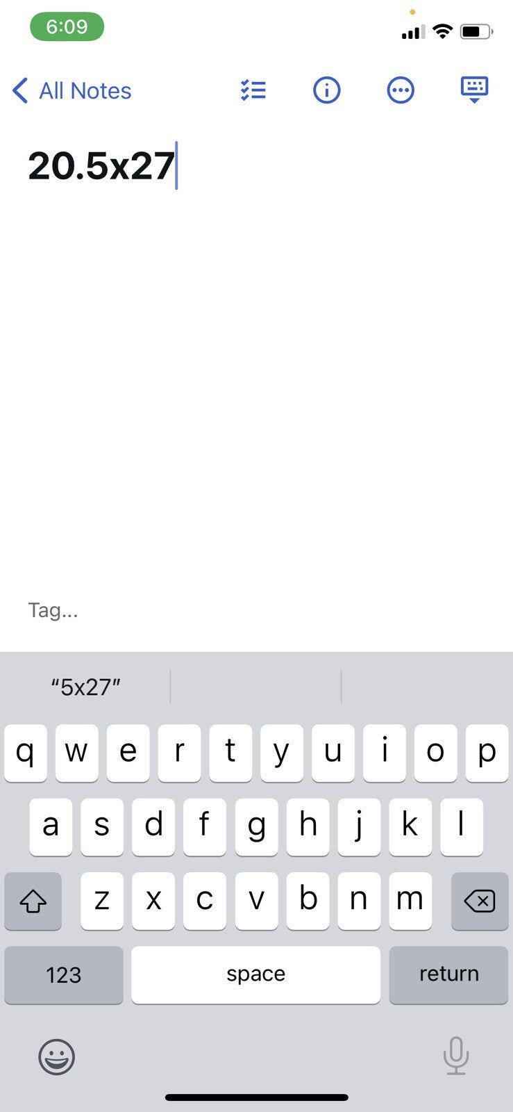 Spikecrew Volleyball Vintage Nike T Shirt USA Rare Single Stitch 90s Sports aj1