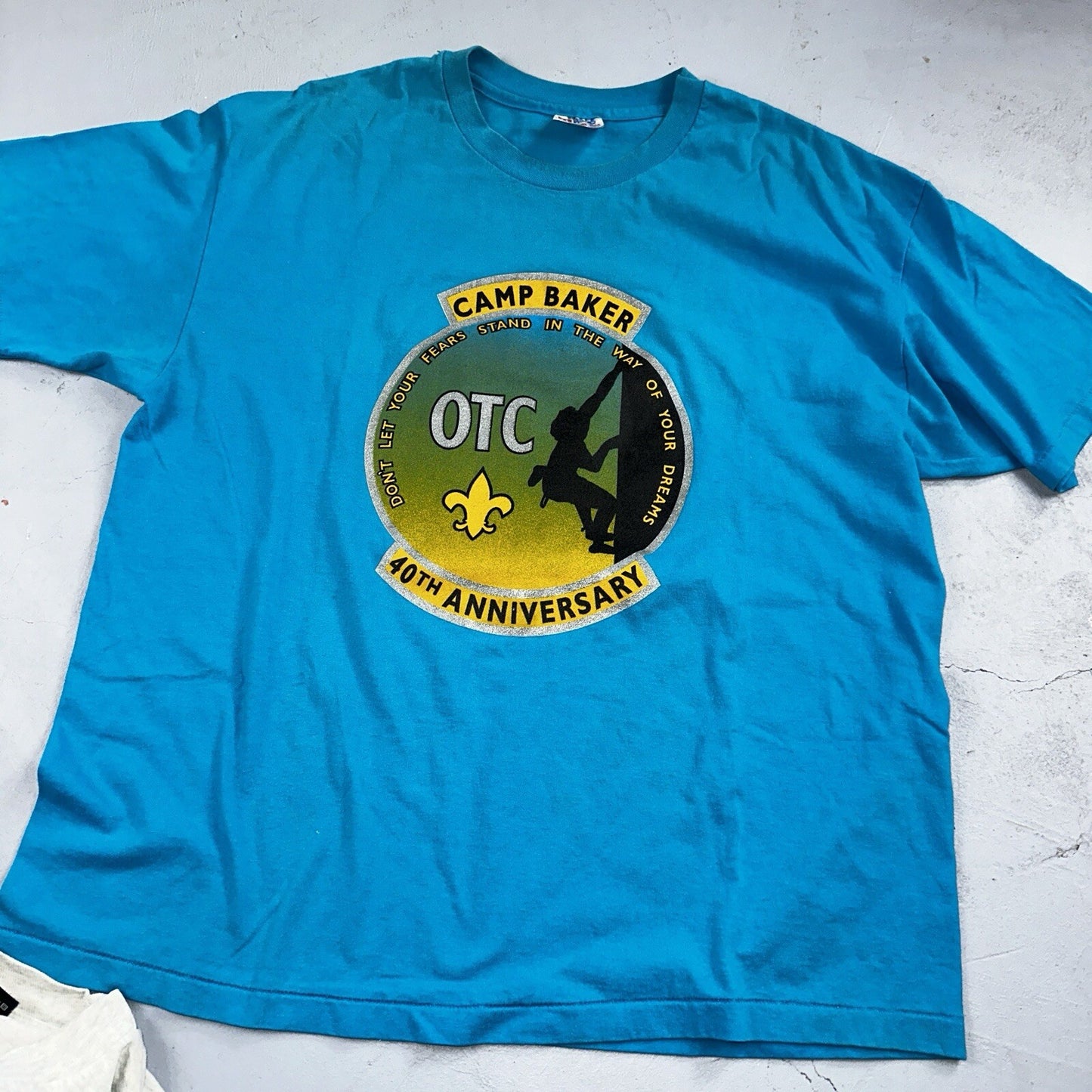 Vintage Oregon T Shirt Lot Of 8 Portland Camp Hike Travel 90s Single Stitch OTC