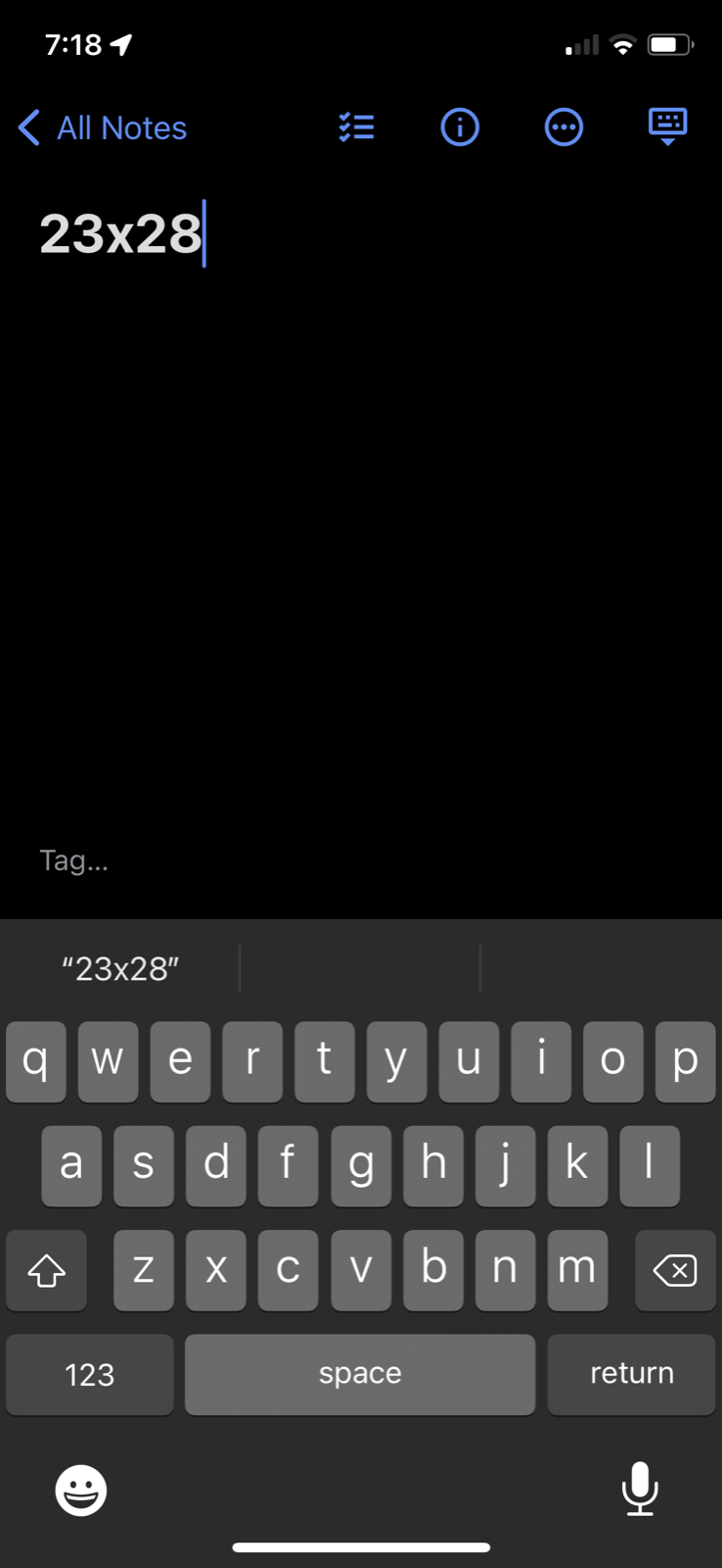 Live From New York City Vintage T Shirt Statue of Liberty Nirvana Funny Humor