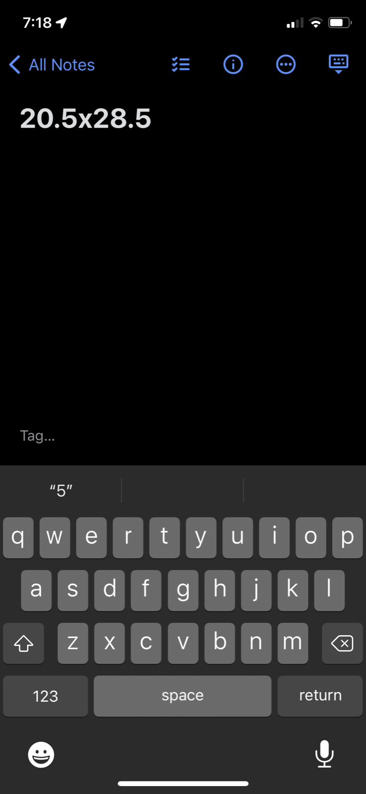 Founding Fathers 1774 Vintage T Shirt Maryland New York Tea Party Ship Pirate