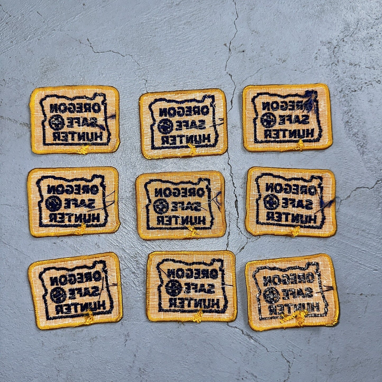 OREGON SAFE HUNTER Patch Badge VTG Insignia 1960s Hunting Qualification Rare Lot