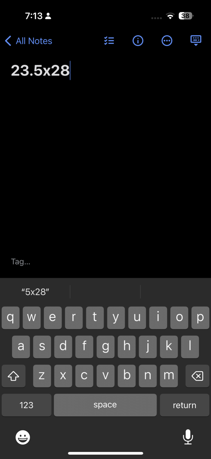 Oneita Flowers VTG T Shirt Art Deco Art Painting Photograph Aesthetic Chill USA