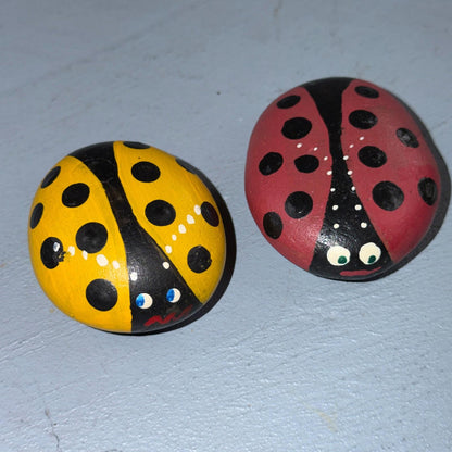 Hand Painted Rock Stone Art Inspirational Lady Bug Bugs Spring Funny Cute VTG