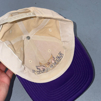 VTG Minnesota State Screaming Eagles The Game Snapback Hat Coach TV Show