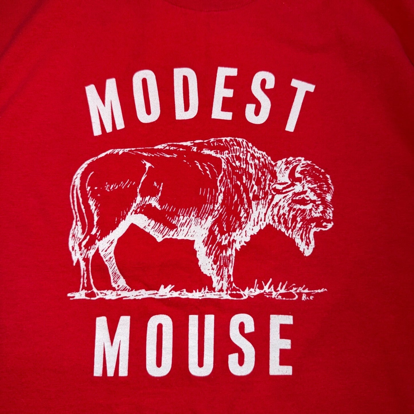 Modest Mouse Y2K Buffalo VTG T Shirt Music Band YOUTH LARGE Rare Promo Tee
