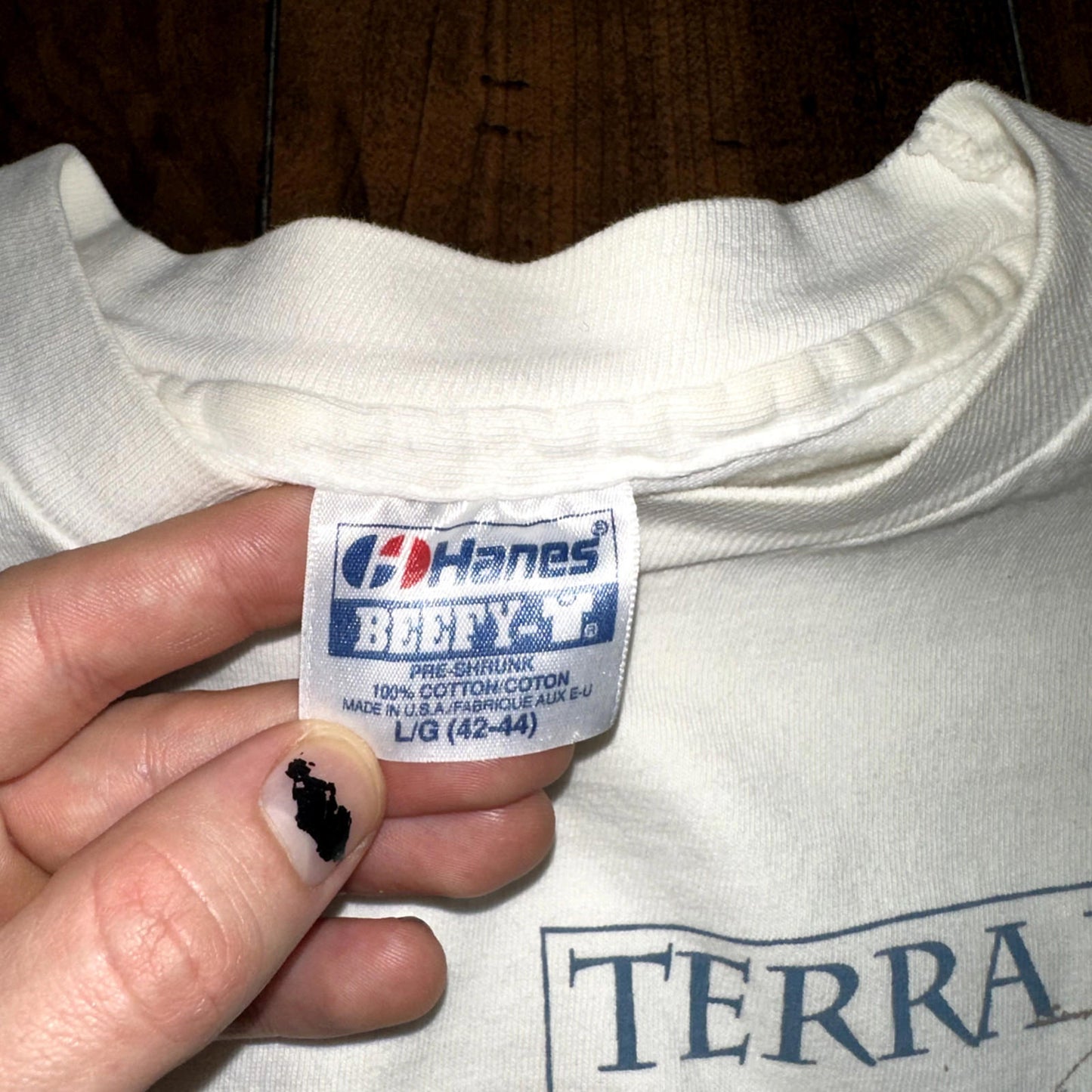 Terra Nova Vintage T Shirt Willamette University Salem Oregon Theatre Music Art