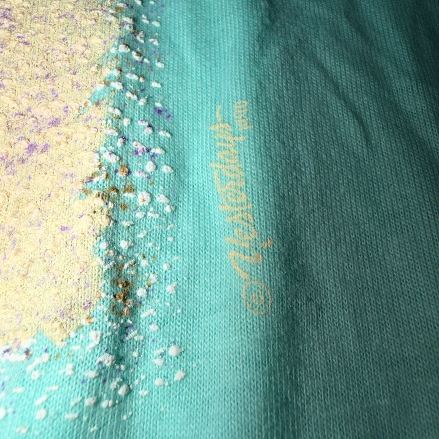 Lincoln City Hanes 1980s VTG T Shirt DS Starfish Ocean Aquarium Cool Oregon Bay