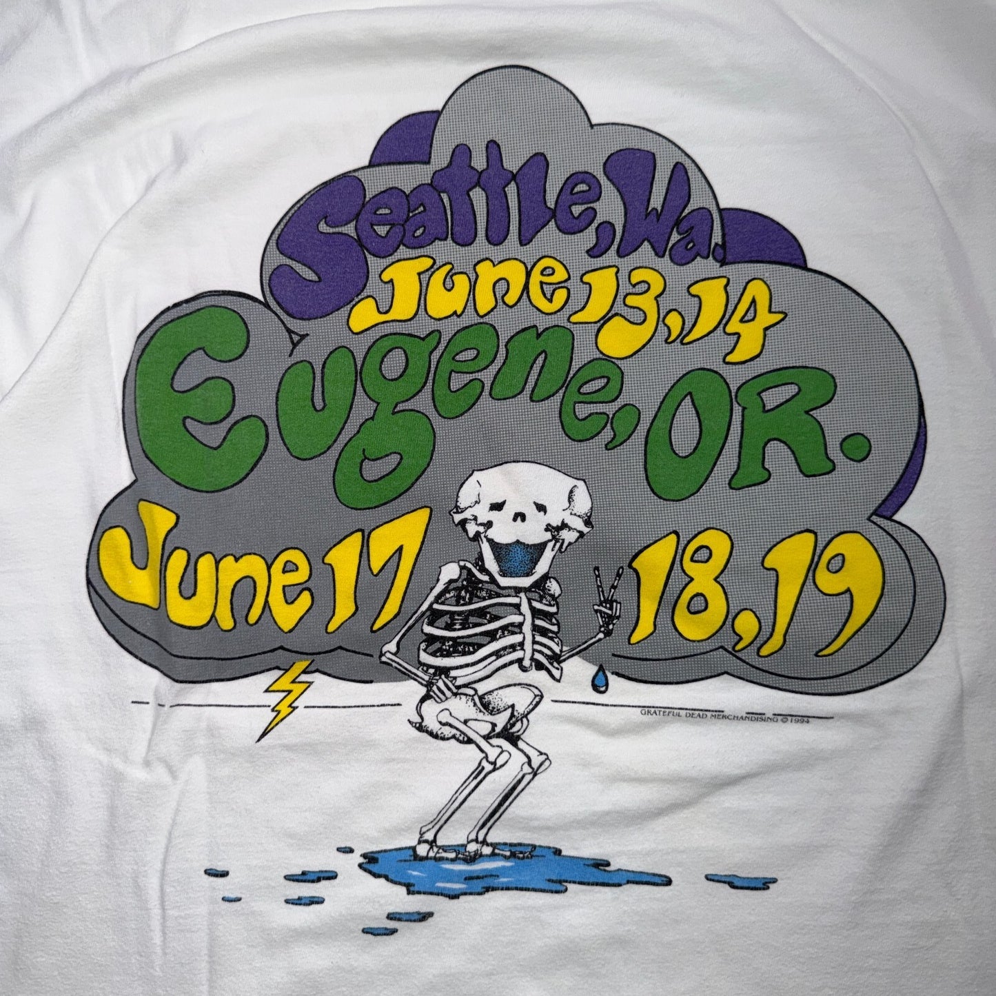 VTG 1993 Grateful Dead Rain Bears Tour T Shirt Seattle Eugene Skeleton Lightning