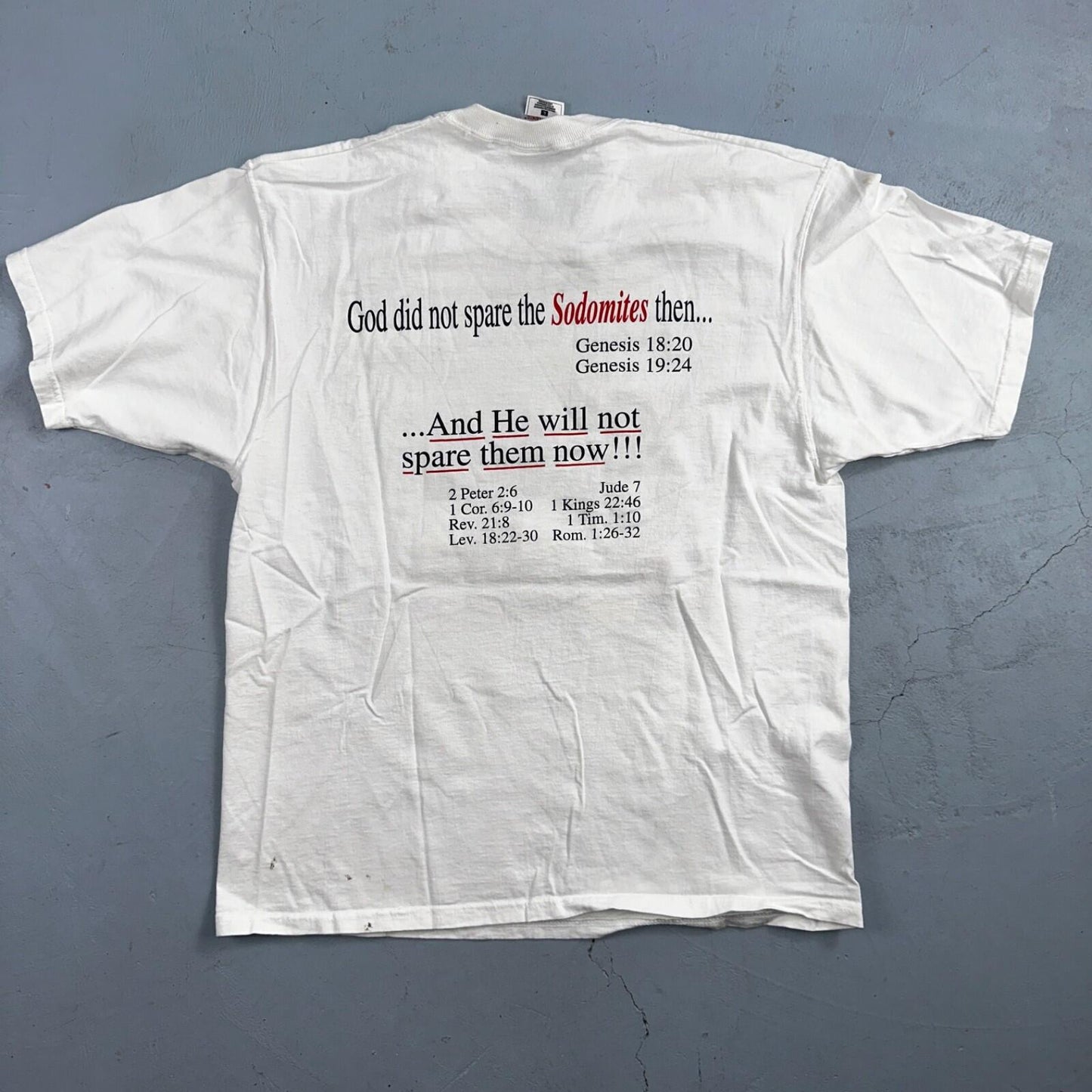 Jesus God VTG T Shirt Sodomite End Of World Genesis Earth Bible Study Graphic