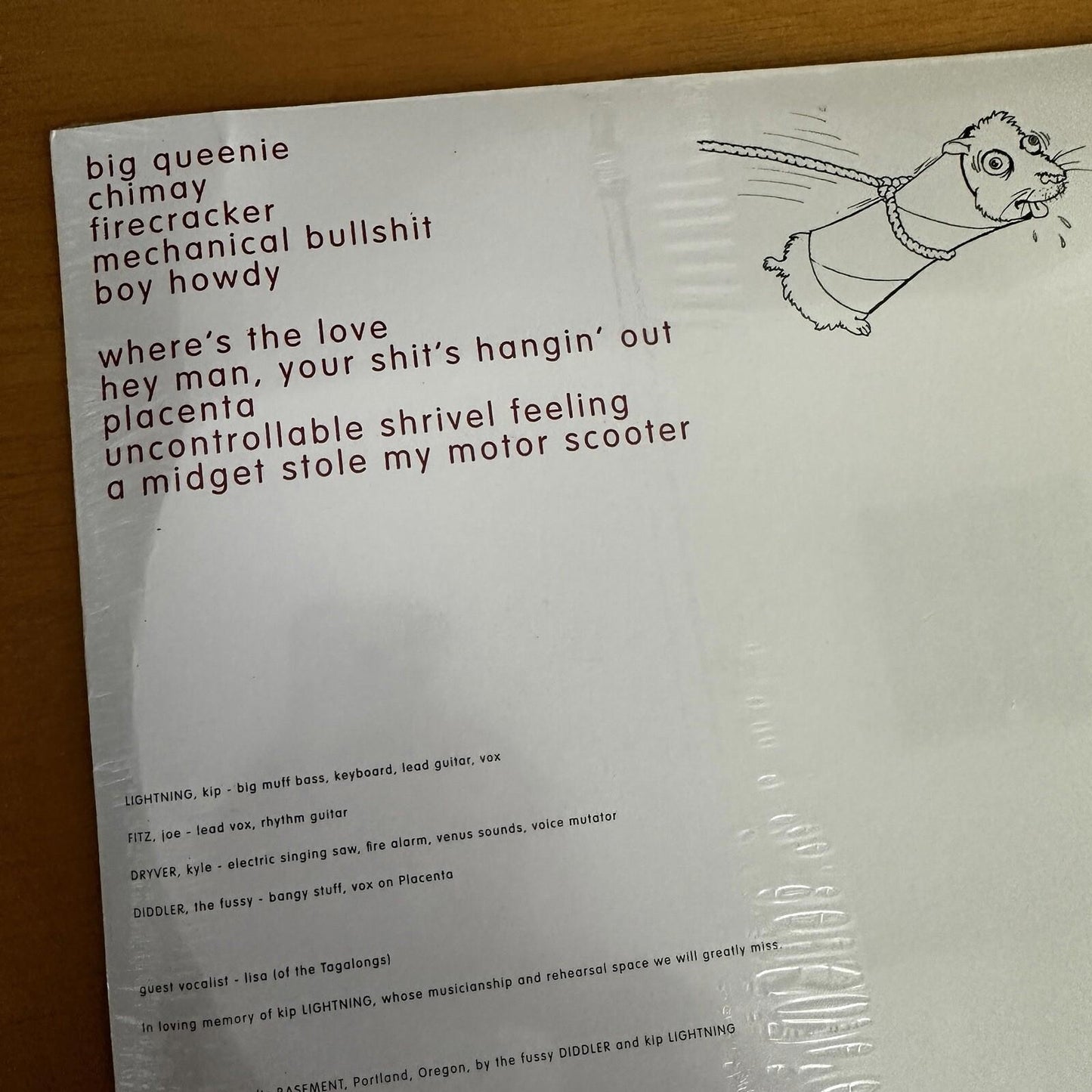 SEALED molly BANG ‎– gerbil tube lariat  LP  Portland Oregon Lo Fi u2 rem VINYL