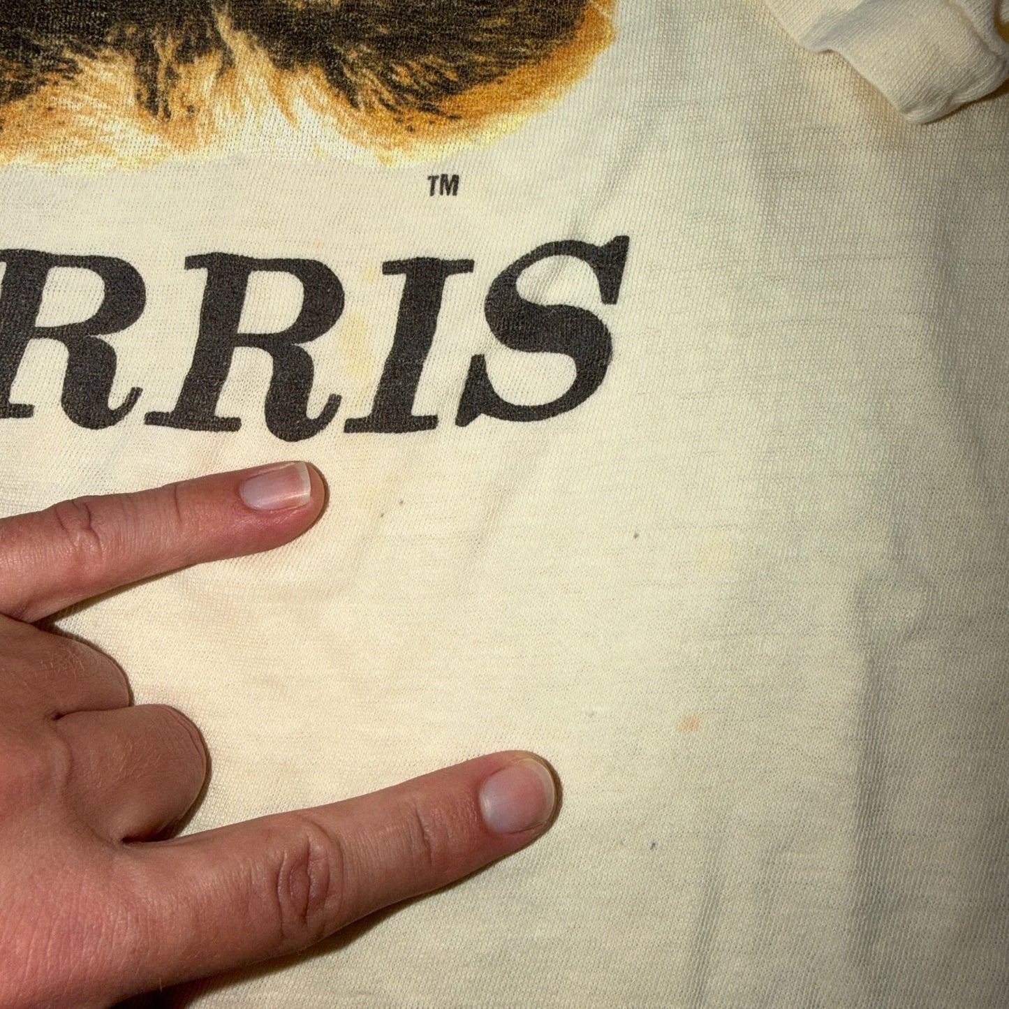 Vintage 1980s Morris The Cat Single Stitch 9 Lives Made In USA 80s Tee Shirt L