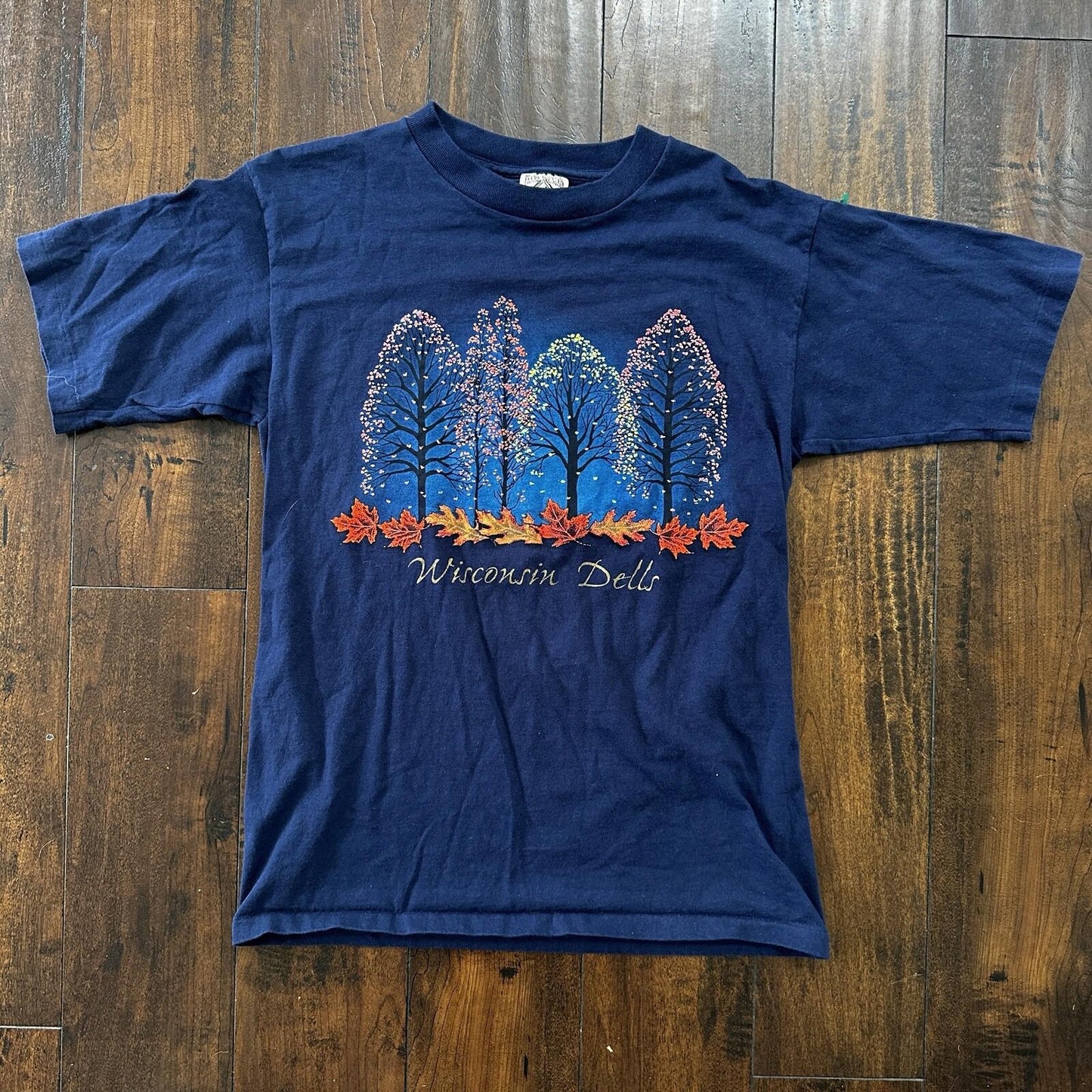 Wisconsin Dells Vintage 90s T Shirt Single Stitch City Town Autumn Fall Cozy Rap