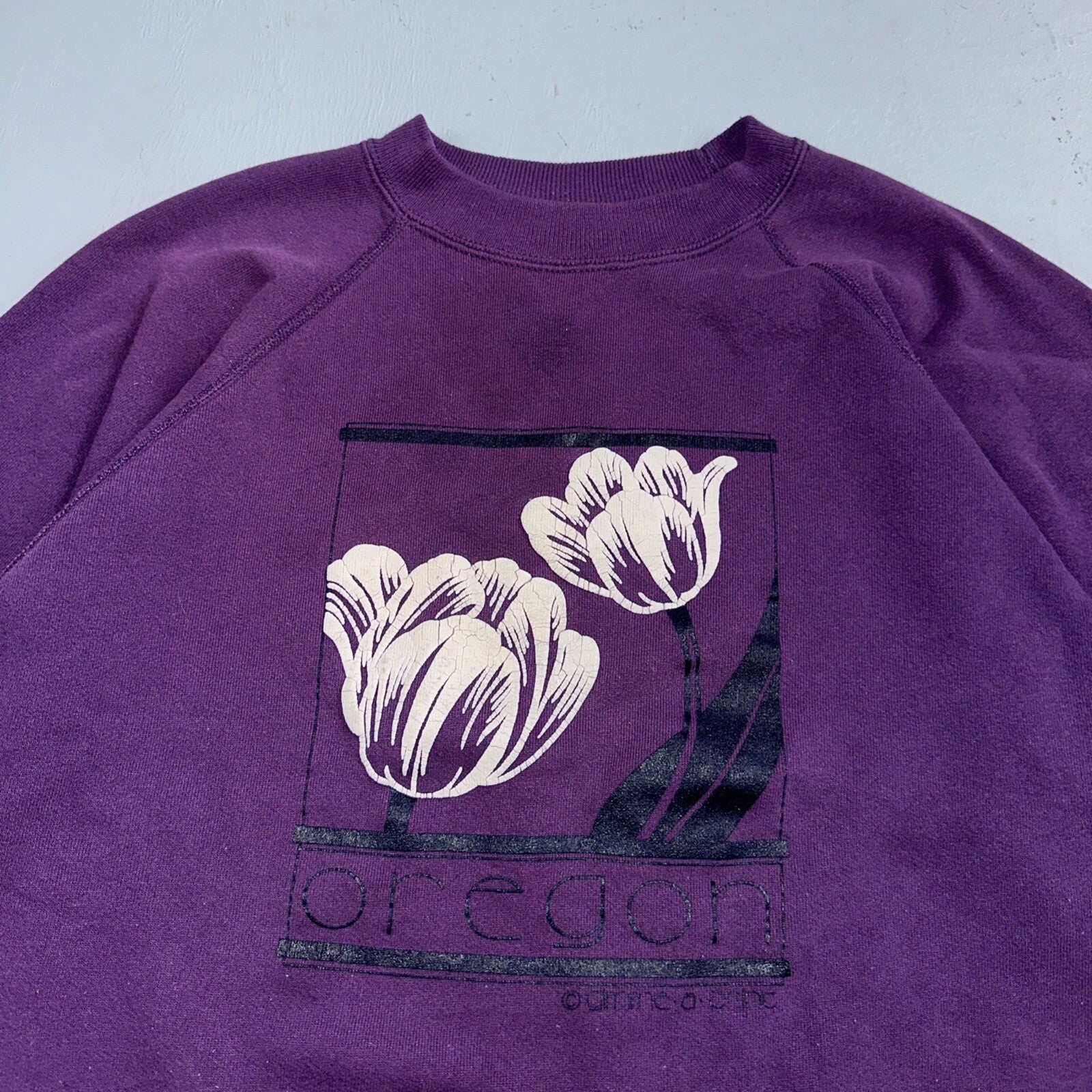 Oregon Flowers Art Painting VTG 90s Crewneck Sweatshirt 1990s Purple XL Hanes