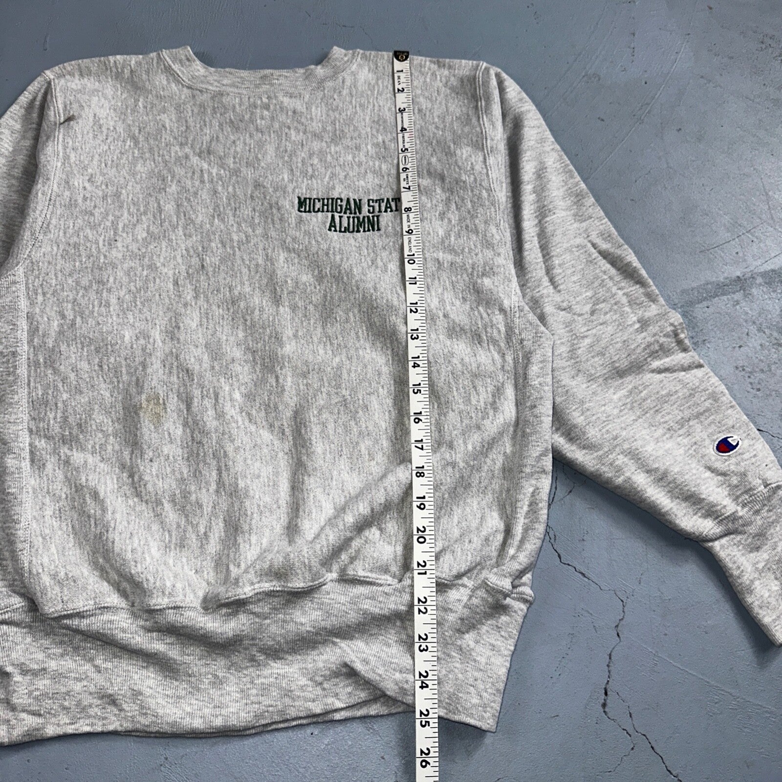 Champion Reverse Weave Vintage Michigan Alumni Sweatshirt M 90s Gray Crewneck