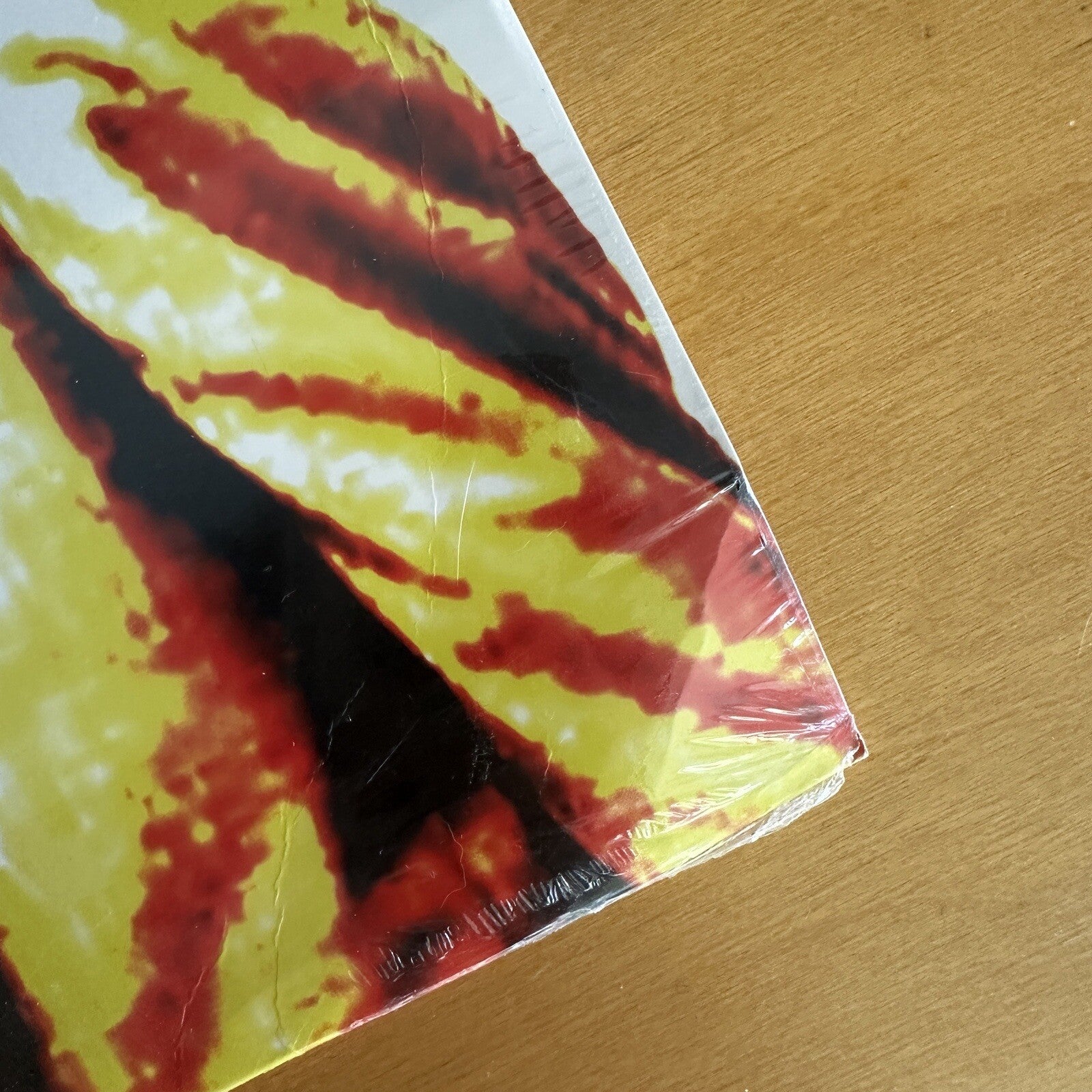 SEALED molly BANG ‎– gerbil tube lariat  LP  Portland Oregon Lo Fi u2 rem VINYL