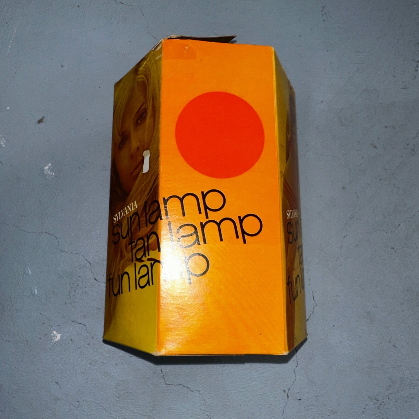 USA Vintage Levitron Industrial Style Cage Chicken Coop Sun Tan Lamp Box