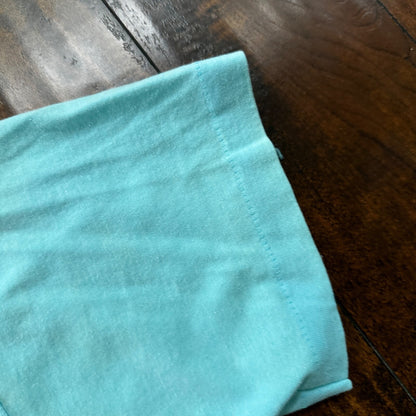 Silver Falls Oregon VTG T Shirt Single Stitch Blue Swimming Boat Cool Teal