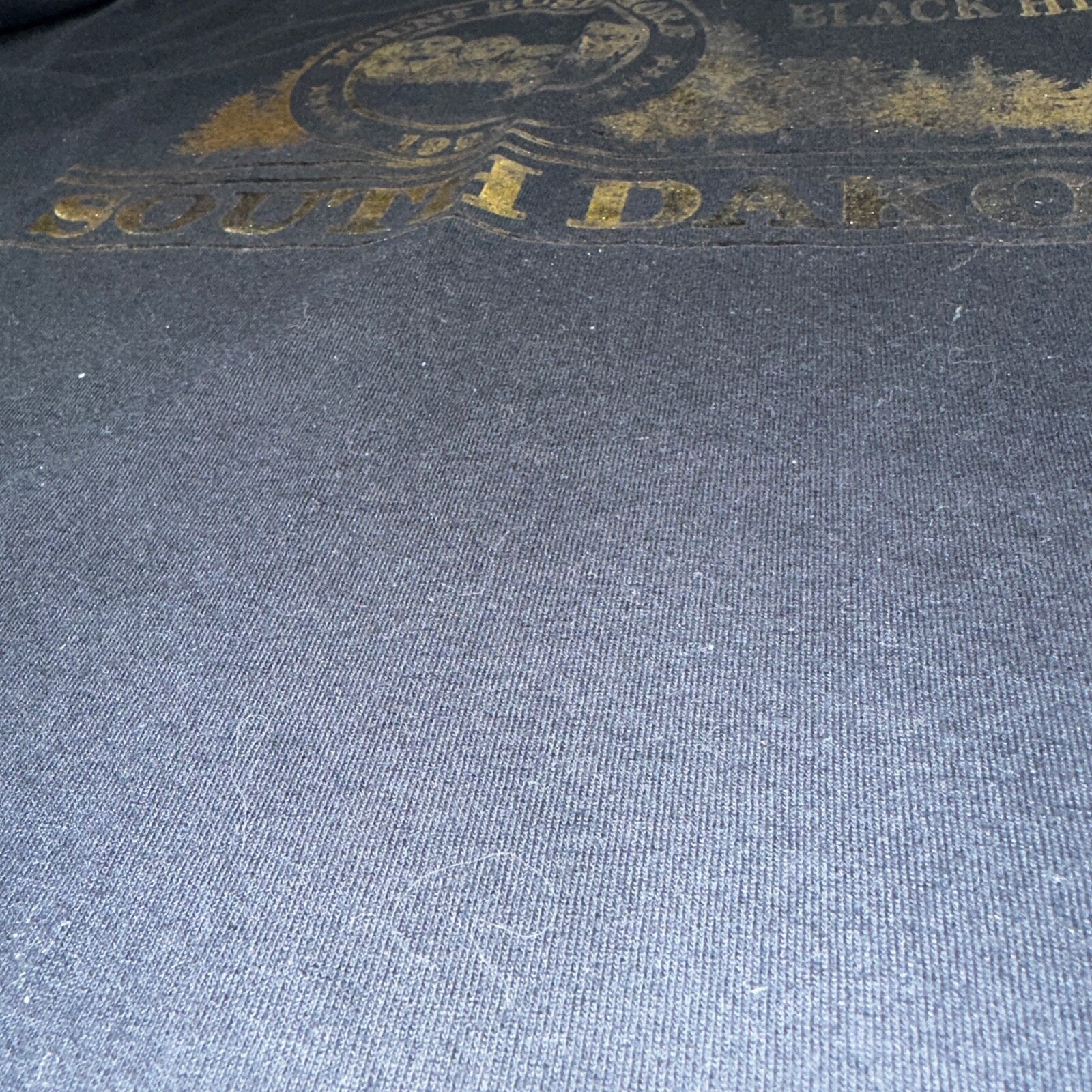 South Dakota Mount Rushmore Graphic 90s VTG T Shirt Black Hills Gold Text USA