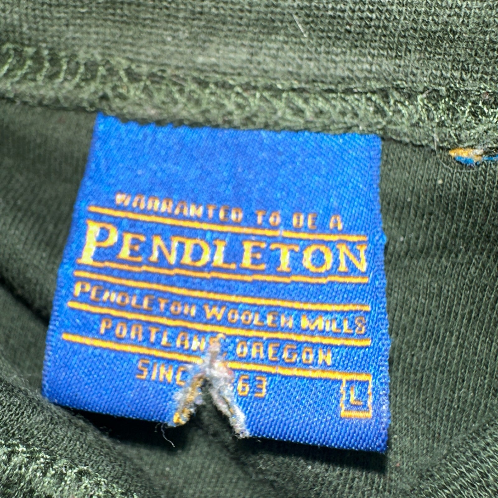 Pendleton VTG T Shirt Mens Large Turtleneck Green Long Sleeve Cotton Casual