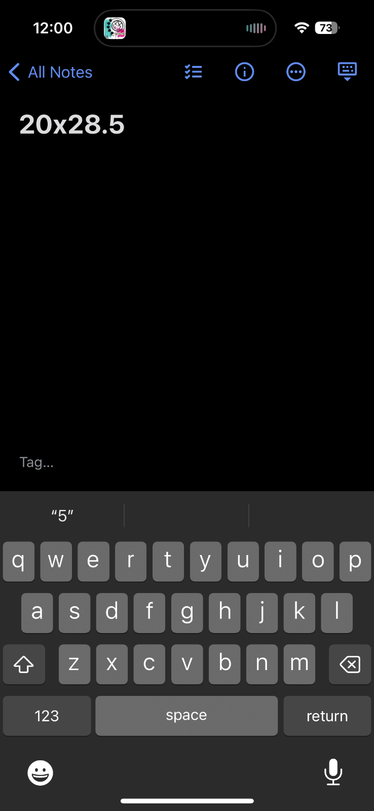 Cats Touch Of Gold Original VTG T Shirt 1981 Black Musical Rare Single Stitch