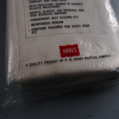 Hanes Briefs NWT Mens 28 White Cotton Black Stripes 3 Pair Vintage USA Lot 1960s