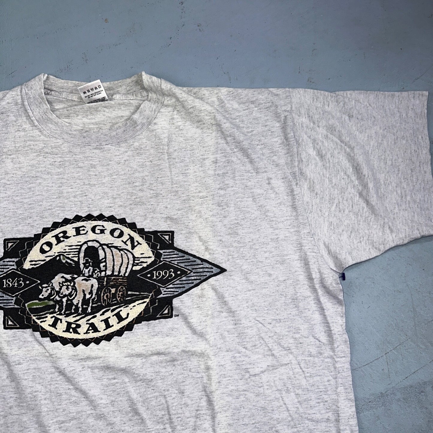 Oregon Trail FOTL VTG T Shirt 90s Game 1993 Gray Single Stitch Rare Buffalo