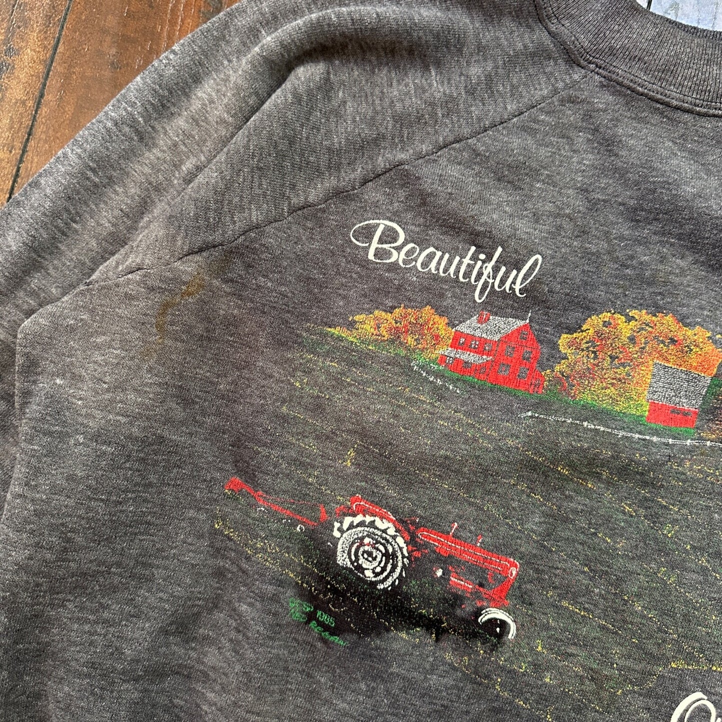 Beautiful Oregon VTG 90s 80s Sweatshirt Crewneck Jumper Gym Farm Land Cool