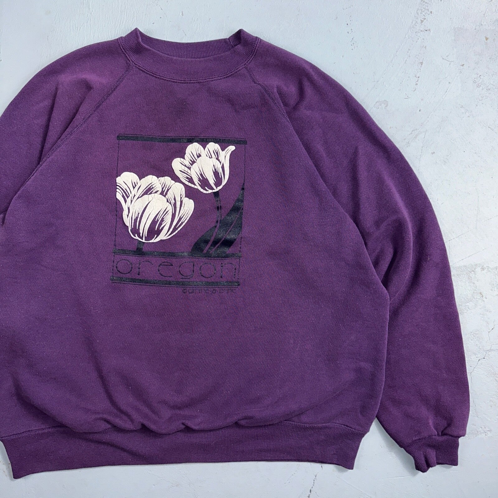 Oregon Flowers Art Painting VTG 90s Crewneck Sweatshirt 1990s Purple XL Hanes