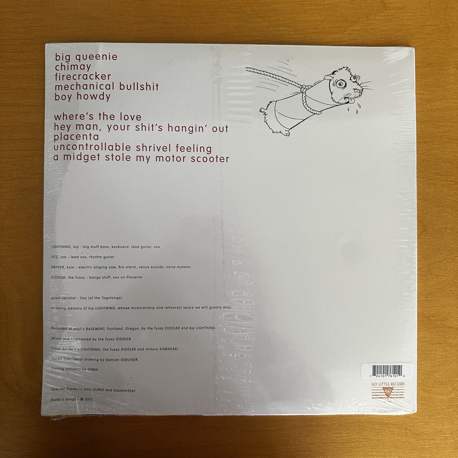 SEALED molly BANG ‎– gerbil tube lariat  LP  Portland Oregon Lo Fi u2 rem VINYL