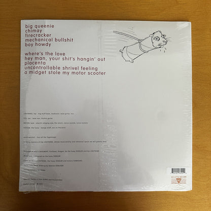 SEALED molly BANG ‎– gerbil tube lariat  LP  Portland Oregon Lo Fi u2 rem VINYL