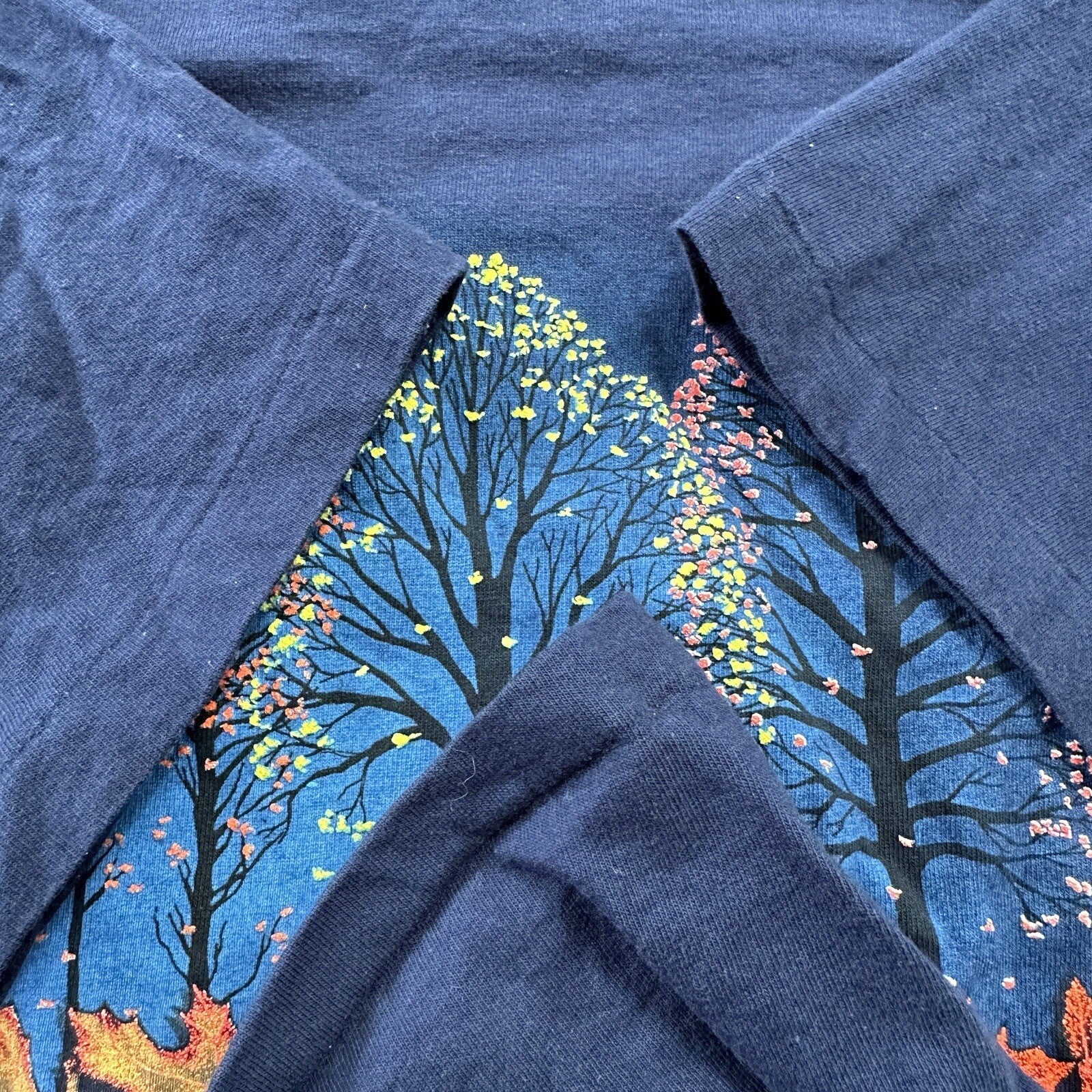 Wisconsin Dells Vintage 90s T Shirt Single Stitch City Town Autumn Fall Cozy Rap