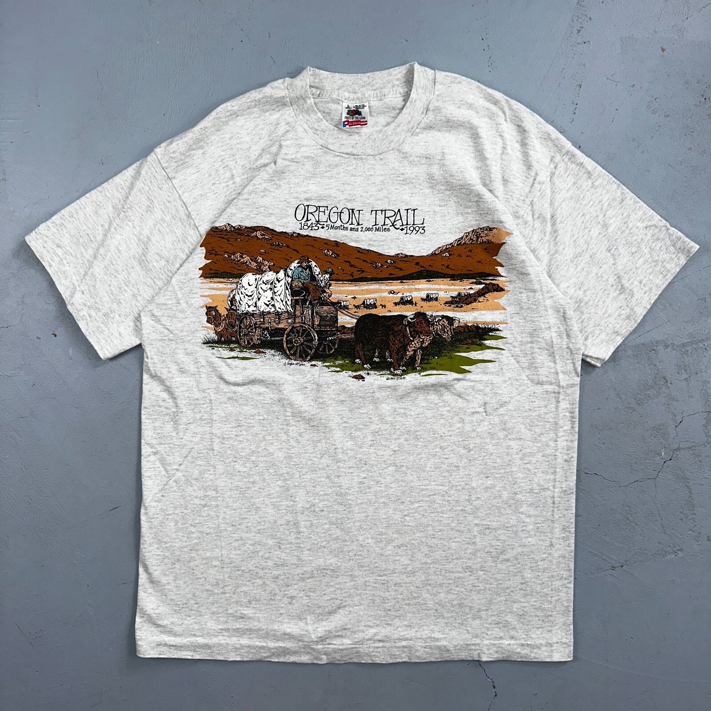 Oregon Trail 90s VTG T Shirt 1993 Gray Single Stitch Travel USA Sunset Rare