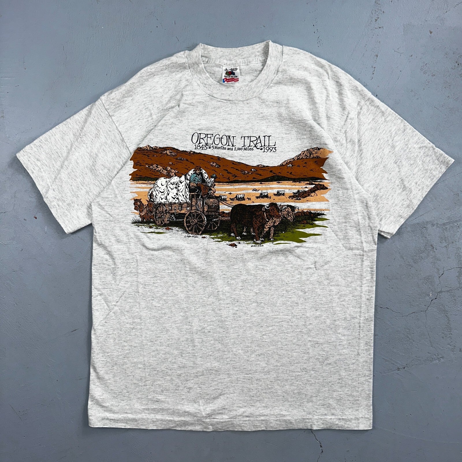 Oregon Trail 90s VTG T Shirt 1993 Gray Single Stitch Travel USA Sunset Rare