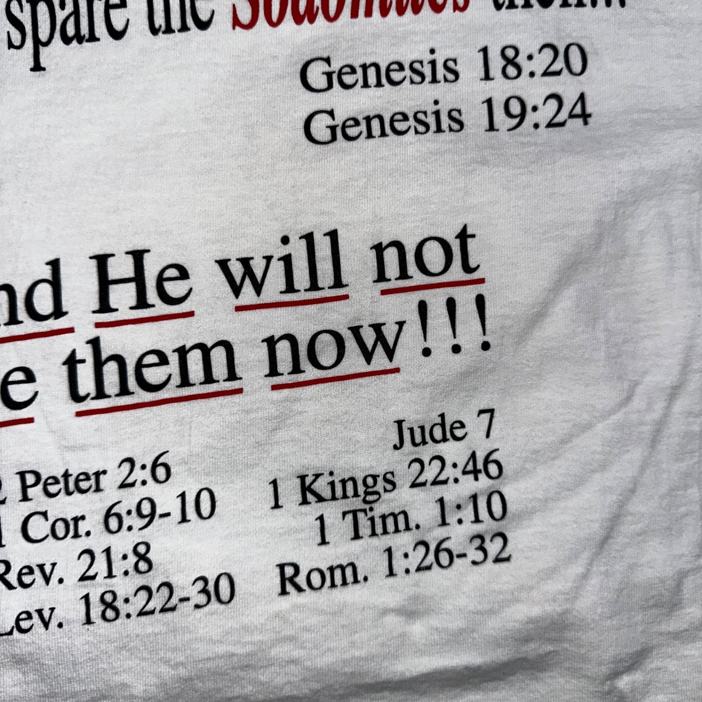 Jesus God VTG T Shirt Sodomite End Of World Genesis Earth Bible Study Graphic