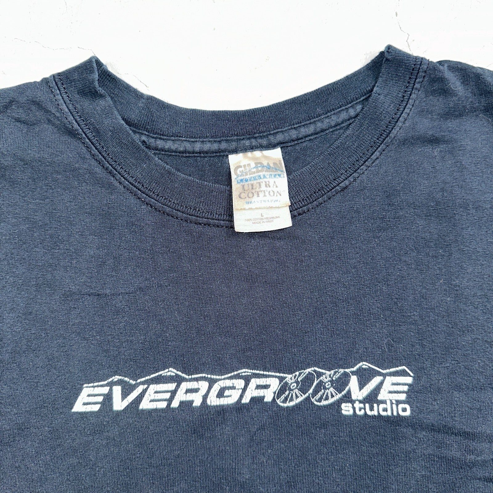 Evergroove Studios Rare Y2K VTG T Shirt Colorado Music Band Production Grammy