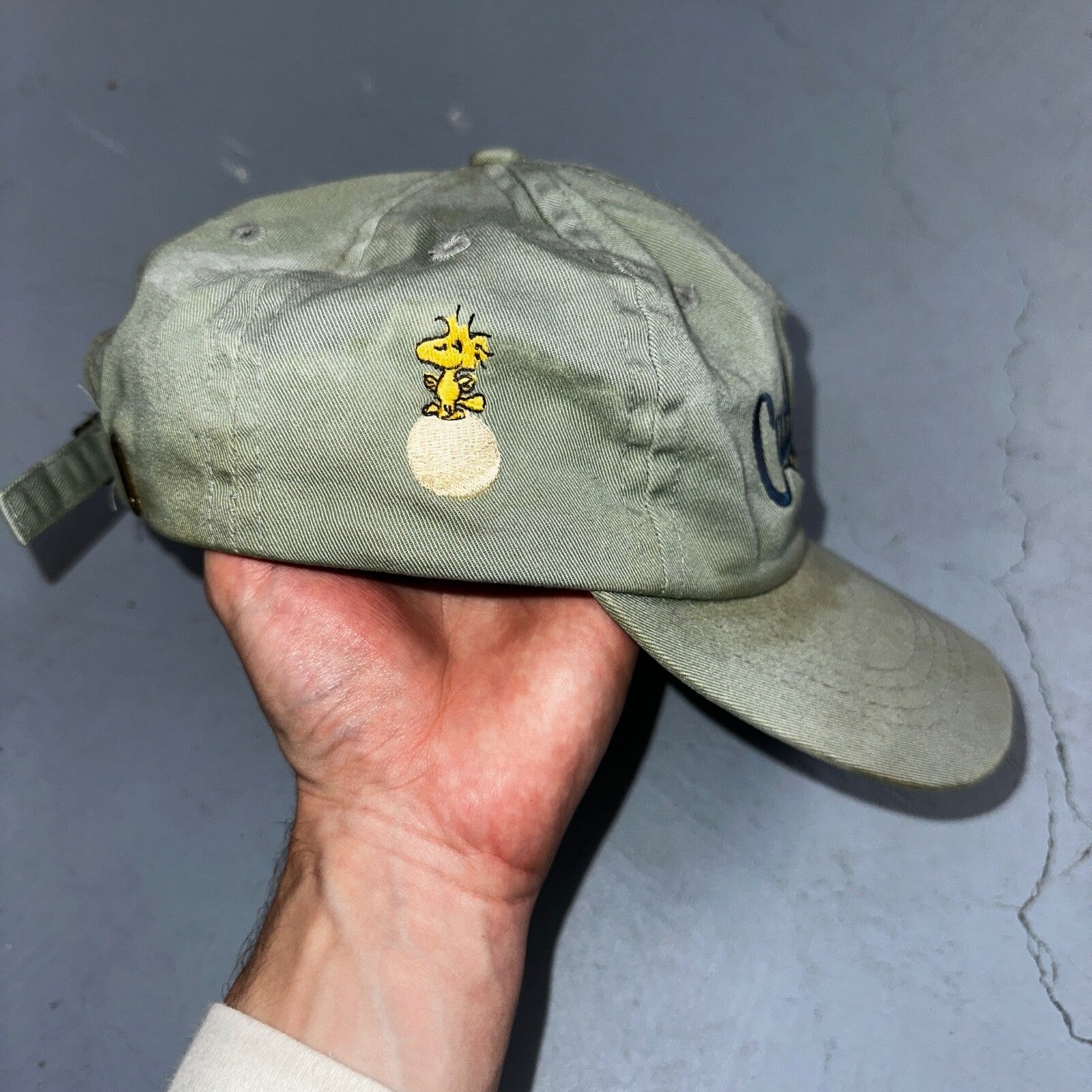 Catch The Spirit Snoopy VTG Hat Cap Snapback Green USGA Political Thrashed USED