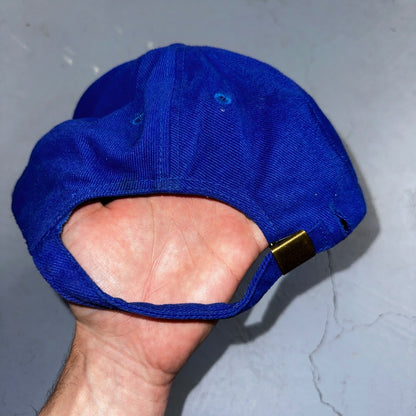 Shoshone First Bank VTG Hat Cap Snapback Buffalo Otto Blue Animals Love Cool