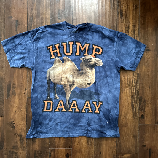 Hump Day Vintage T Shirt Camel Tye Dye Mountain XL Y2K Funny Humor Cute Animal