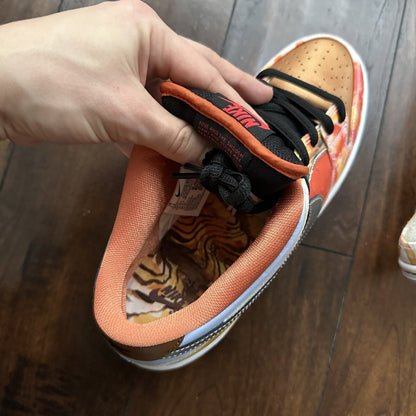 Nike Size 7.5 SB Dunk Low QS Pro Street Hawker - CV1628-800 - Worn Once